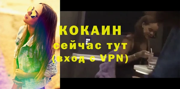 спиды Абаза