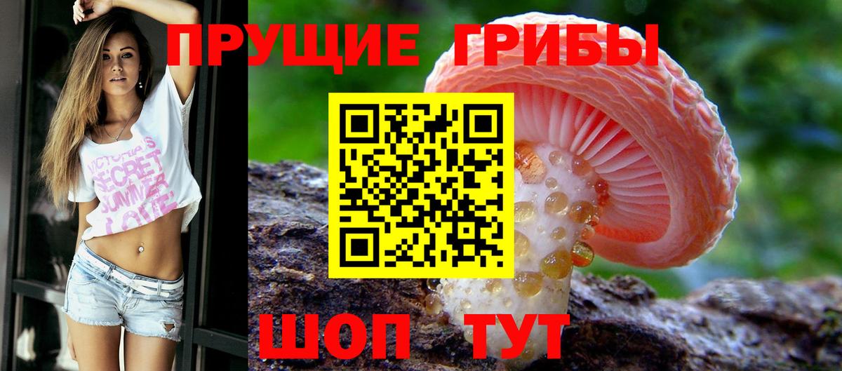 Галлюциногенные грибы Cubensis  Псилоцибиновые грибы ЛСД  Астрахань  Вход с VPN 
